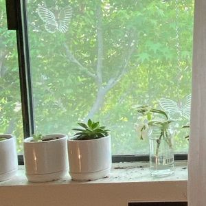 Meet your Posher, Violet